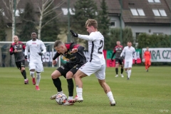 PodlesiankaGornik2-100