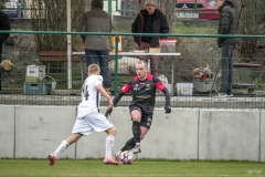 PodlesiankaGornik2-107
