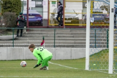 PodlesiankaGornik2-81