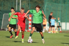 PodlesiankaZabrze-105