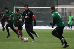 PodlesiankaWojkowice-102