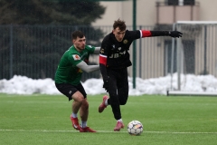 PodlesiankaWojkowice-104