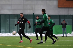 PodlesiankaWojkowice-107