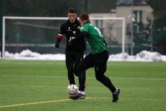 PodlesiankaWojkowice-108