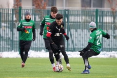 PodlesiankaWojkowice-11