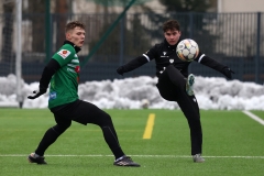 PodlesiankaWojkowice-112