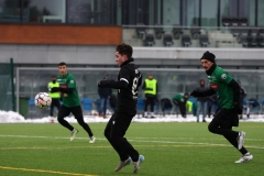 PodlesiankaWojkowice-114