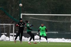 PodlesiankaWojkowice-117