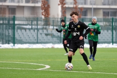 PodlesiankaWojkowice-12