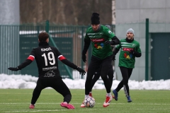 PodlesiankaWojkowice-123