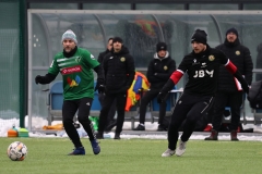 PodlesiankaWojkowice-125