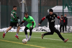 PodlesiankaWojkowice-128