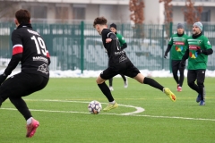 PodlesiankaWojkowice-138