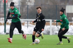 PodlesiankaWojkowice-147