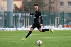 PodlesiankaWojkowice-21