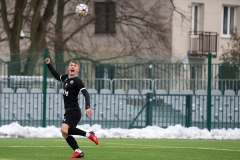 PodlesiankaWojkowice-24