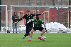 PodlesiankaWojkowice-28