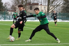 PodlesiankaWojkowice-29