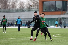 PodlesiankaWojkowice-35