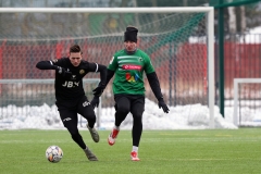 PodlesiankaWojkowice-39