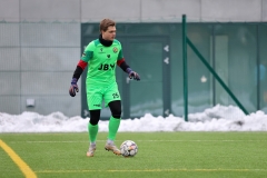 PodlesiankaWojkowice-40