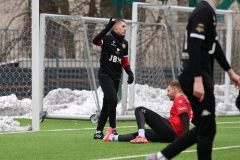 PodlesiankaWojkowice-47