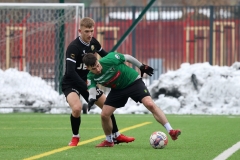 PodlesiankaWojkowice-49