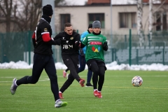 PodlesiankaWojkowice-63