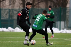 PodlesiankaWojkowice-69