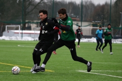 PodlesiankaWojkowice-77