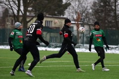 PodlesiankaWojkowice-83