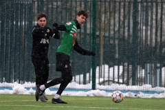 PodlesiankaWojkowice-87