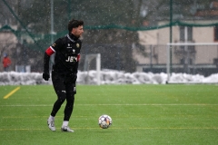 PodlesiankaWojkowice-89