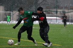 PodlesiankaWojkowice-93