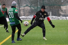 PodlesiankaWojkowice-95