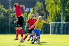 PodlesiankaKuznia-96