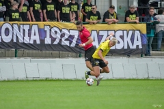 PodlesiankaPolonia-222