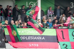 PodlesiankaPolonia-240