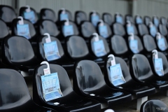 PodlesiankaPrzemsza-1