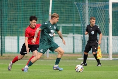 PodlesiankaPrzemsza-103