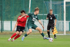 PodlesiankaPrzemsza-104