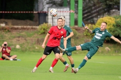 PodlesiankaPrzemsza-105