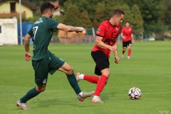 PodlesiankaPrzemsza-111