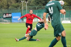 PodlesiankaPrzemsza-112