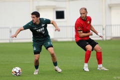 PodlesiankaPrzemsza-118