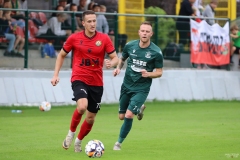 PodlesiankaPrzemsza-121