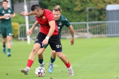 PodlesiankaPrzemsza-123