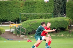 PodlesiankaPrzemsza-127