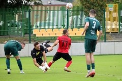 PodlesiankaPrzemsza-139