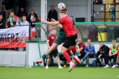 PodlesiankaPrzemsza-33